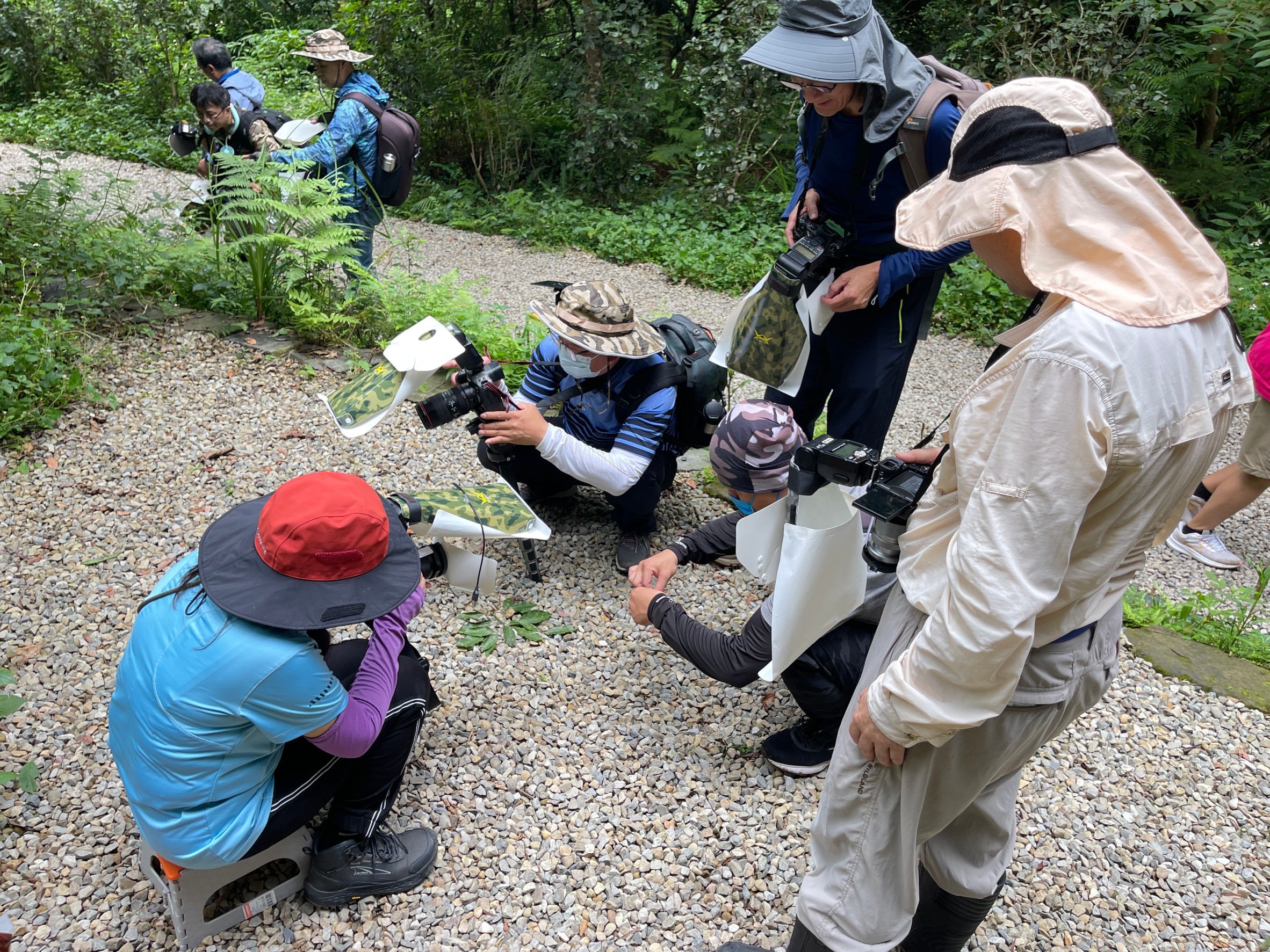 LINE_ALBUM_202469呂明俊老師微距專題班石門步道外拍花絮_240616_3.jpg