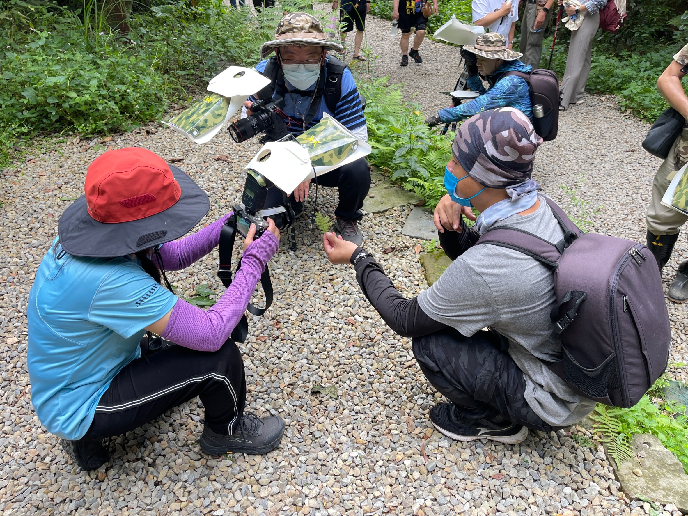 LINE_ALBUM_202469呂明俊老師微距專題班石門步道外拍花絮_240616_4.jpg