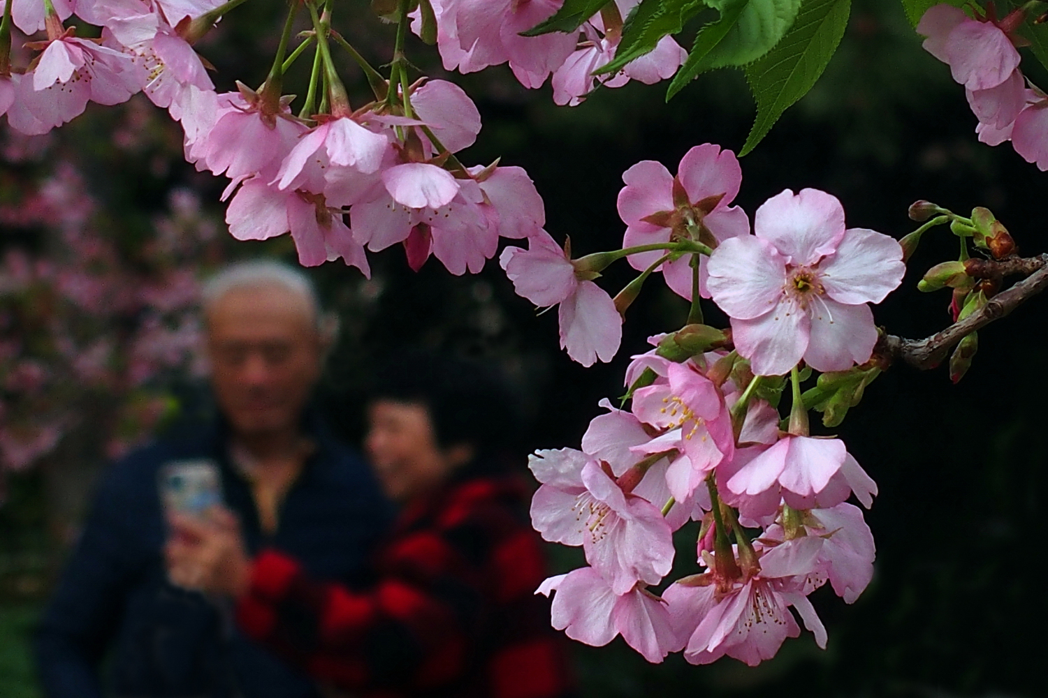 陳老師_有感而發20250228a.jpg